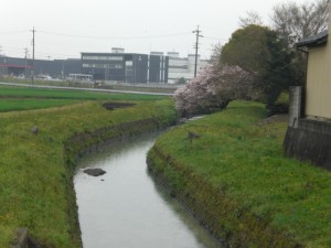 4-45_河内屋川・小牧市入鹿出新田