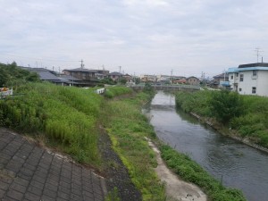 3_青木川・一宮市千秋町