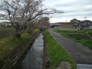 4-17_道木川_小牧市大字林