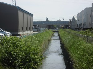 4-35_原川・小牧市小牧原新田